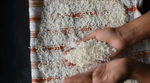 قرار دادن برنج آب کرده روی دستمال کاغذی برای تهیه آرد برنج خانگی